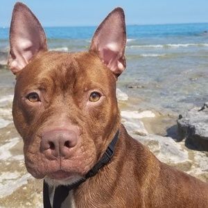 Meet your Posher, Eloise